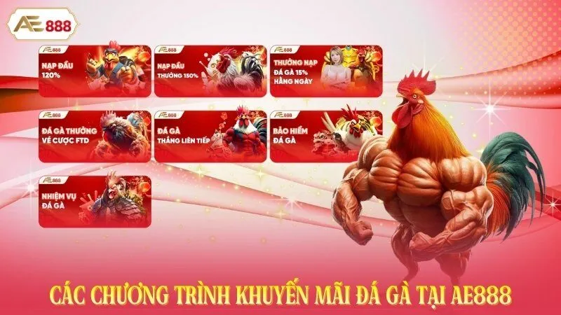 Các chương trình khuyến mãi đá gà tại AE888