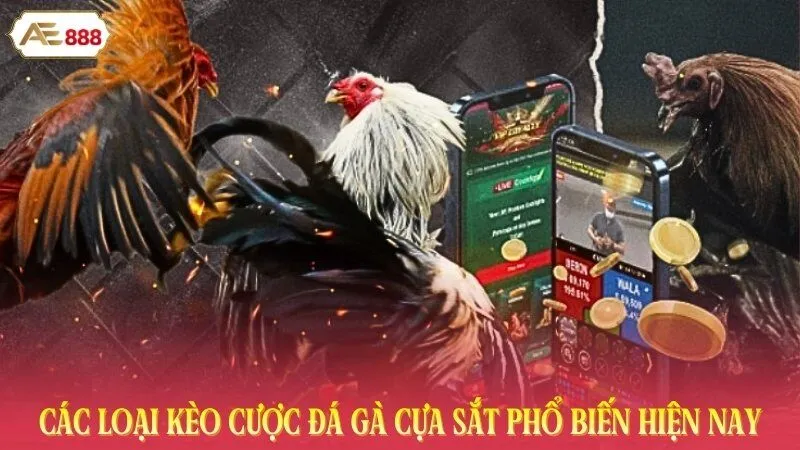 Các loại kèo cược đá gà cựa sắt phổ biến hiện nay