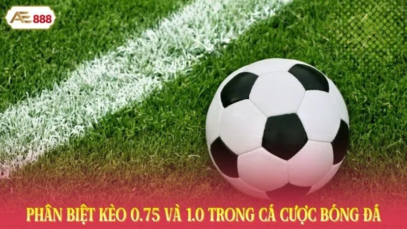 Phân biệt kèo 0.75 và 1.0 trong cá cược bóng đá